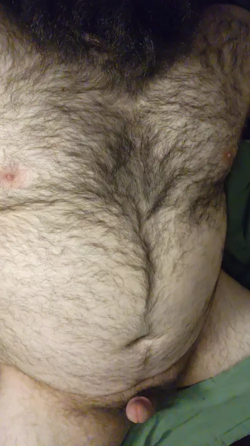 I'm just going to leave this here by bigcheddar71