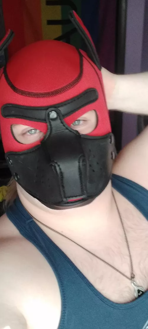 Just a beefy pup! by Zozathelion