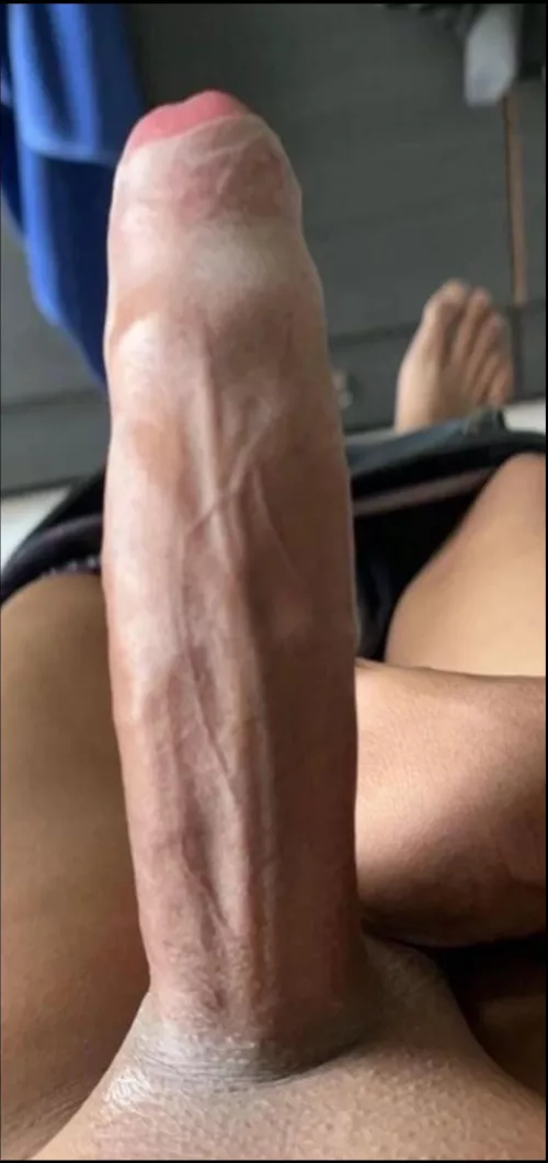 Morning wood.. wanna drain it by Veiny-dong