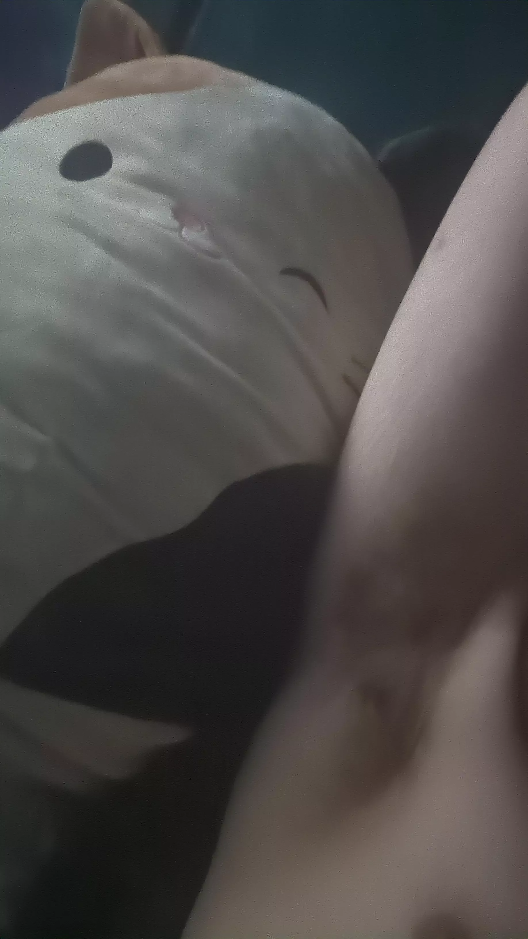 Nice and ripe, any bros wanna jerk to our musk? Hmuu posted by Bromosexual731