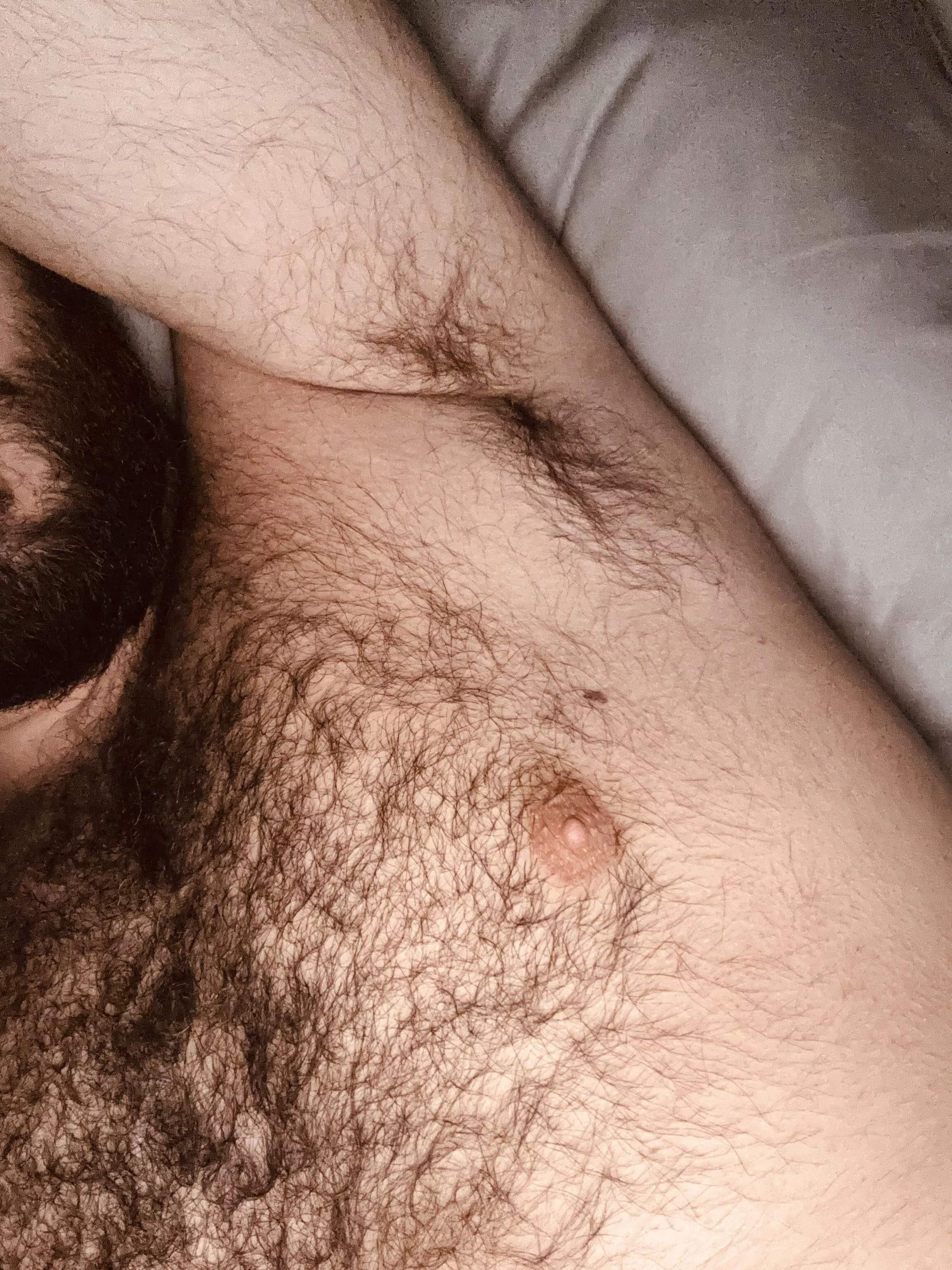 Not sure where to put your face first? posted by scbrad13