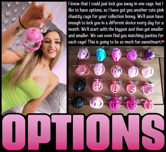 OPTIONS [chastity] [femdom] [denial] by Teas_Denial