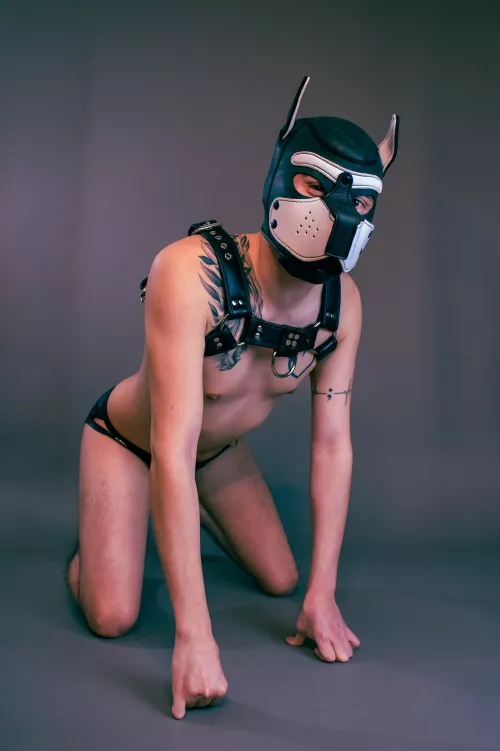 Puppy needs some scratches and pets ☺️ by MrShowOff_69