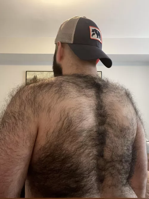 Saw a post of a cute bear’s back. I felt inspired to show mine too. by bearded_martha