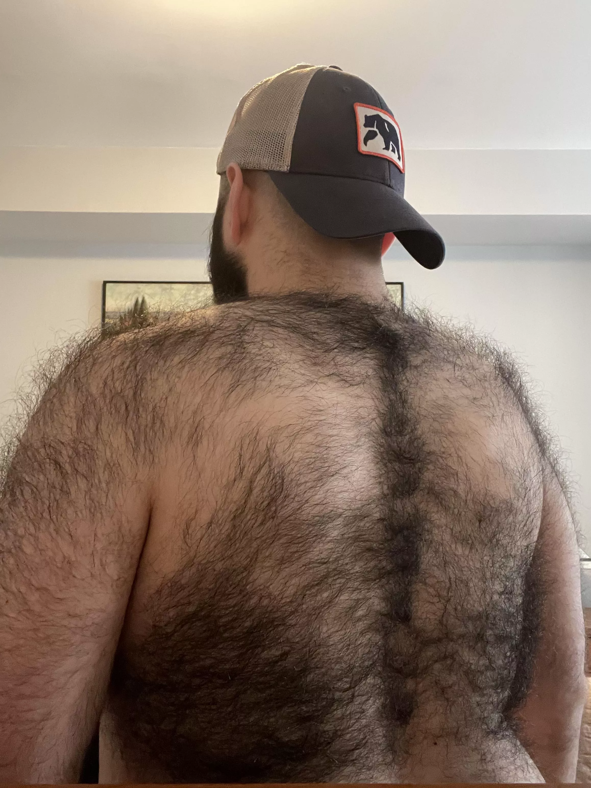 Saw a post of a cute bear’s back. I felt inspired to show mine too. posted by bearded_martha