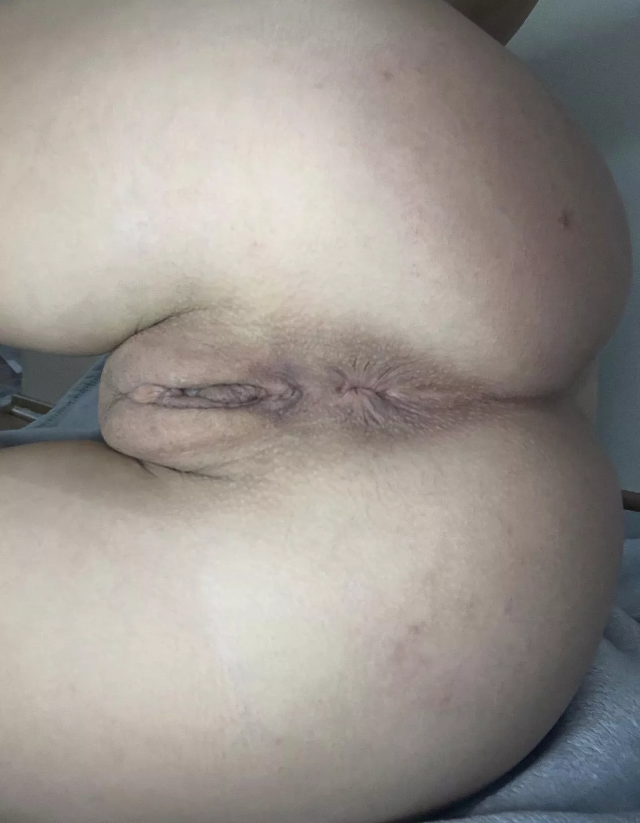 sit on your dick or your face? posted by Notice-Favorable764