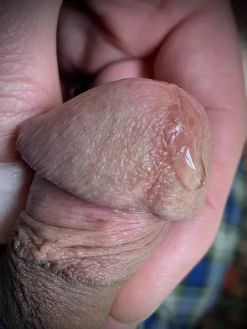 Started even before getting hard… by Toby1Nekobi