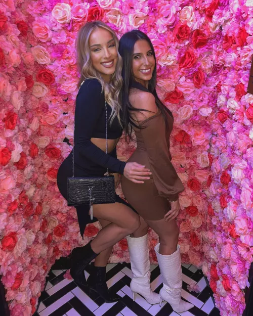 Wall of Roses by PolishedGold