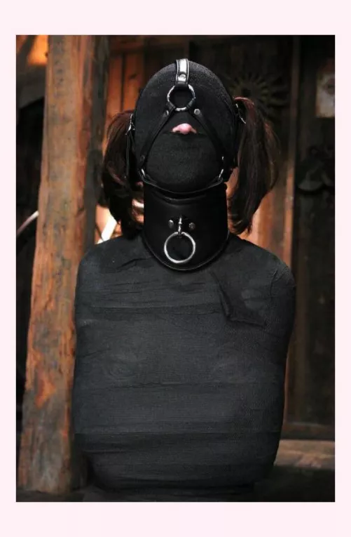 Wecorative by Unfair_Tooth_6607