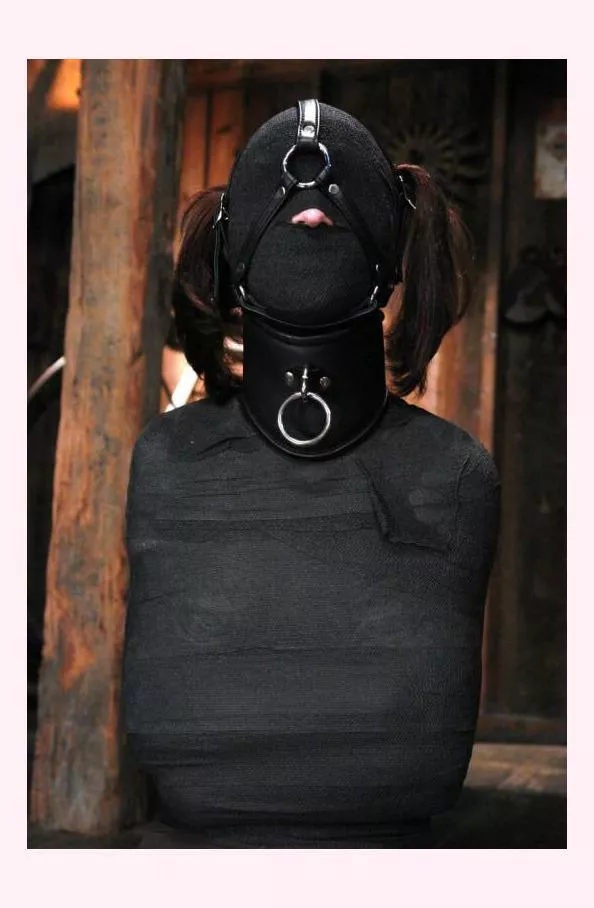 Wecorative posted by Unfair_Tooth_6607