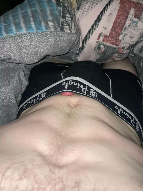 Who wants to see the rest( dm me) by Necessary_Fan4173