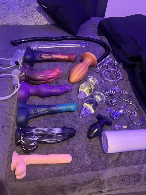 All accounted for ;3 by Icy_Tax_5917