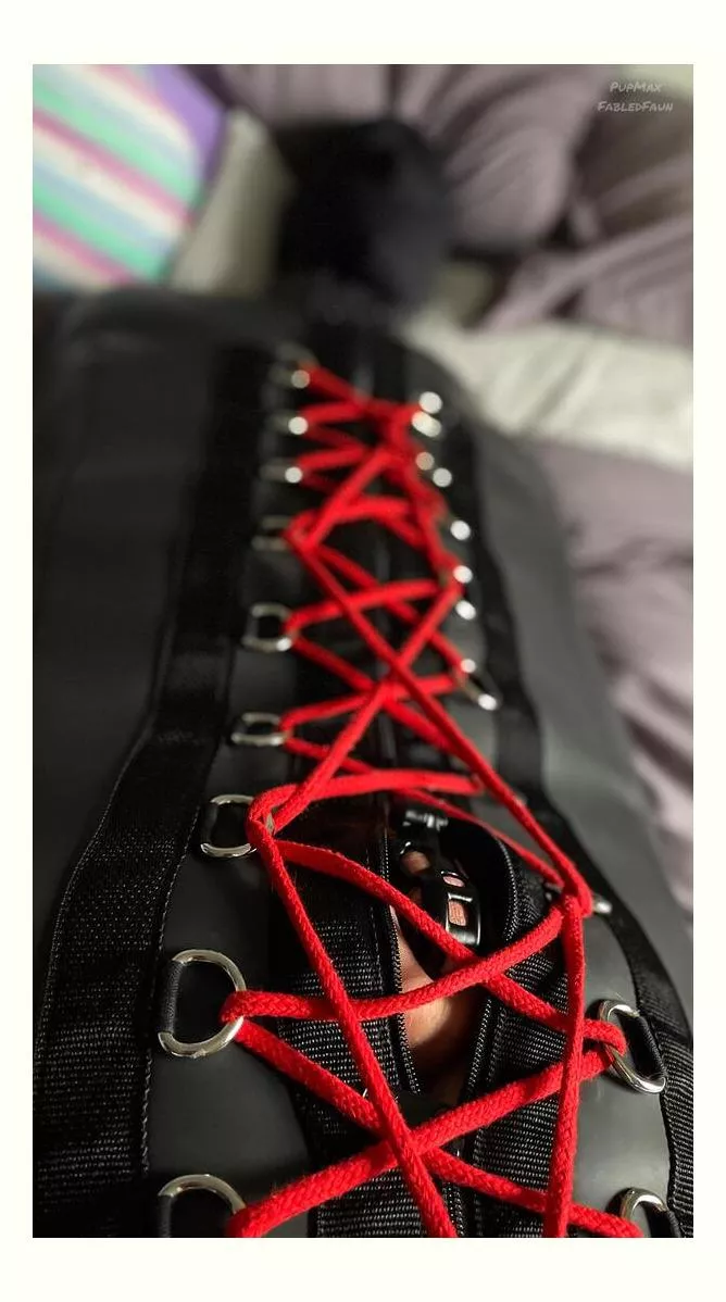 Bound in his sleep zack like a good toy 😌 posted by Subject-Edge2829