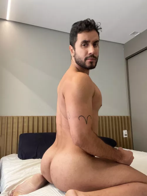 breed me? 🥵 y/n by luke5ive