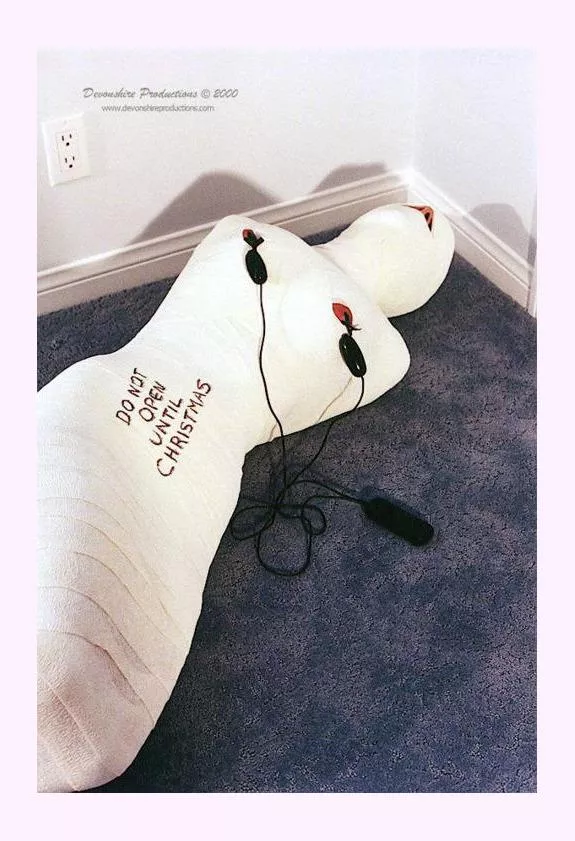 Do Not Open Tul Christmas posted by Katie_Thornton60