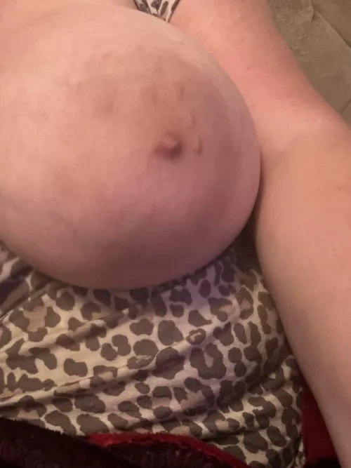 Do we love? by Large_Badger8317