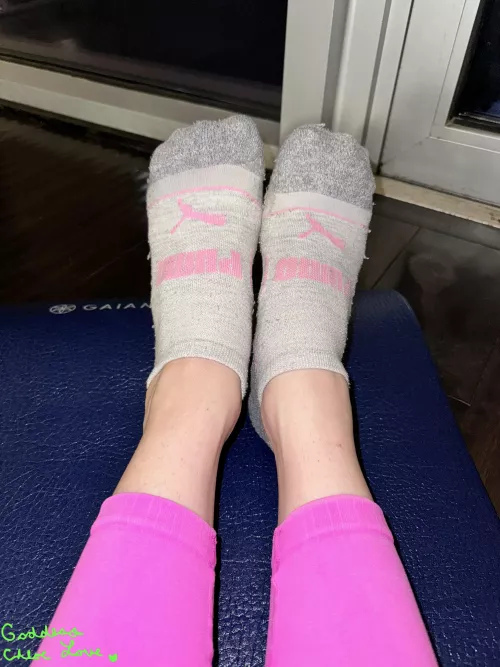 [F] Day 1 of stinking these disgusting socks for an 🇺🇸 beta cuck by Goddess_ChloeLove