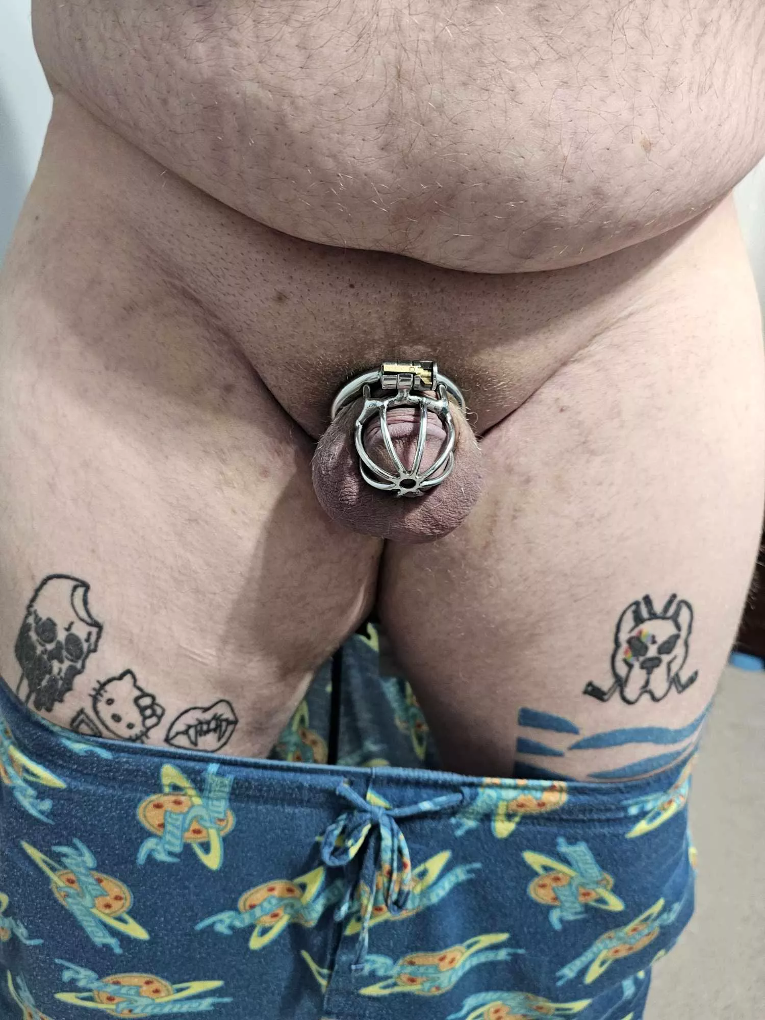 Freshly shaved and caged posted by Pork85