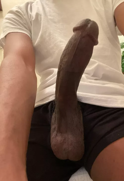 Get that nut out for me  by Extension-Lock7737