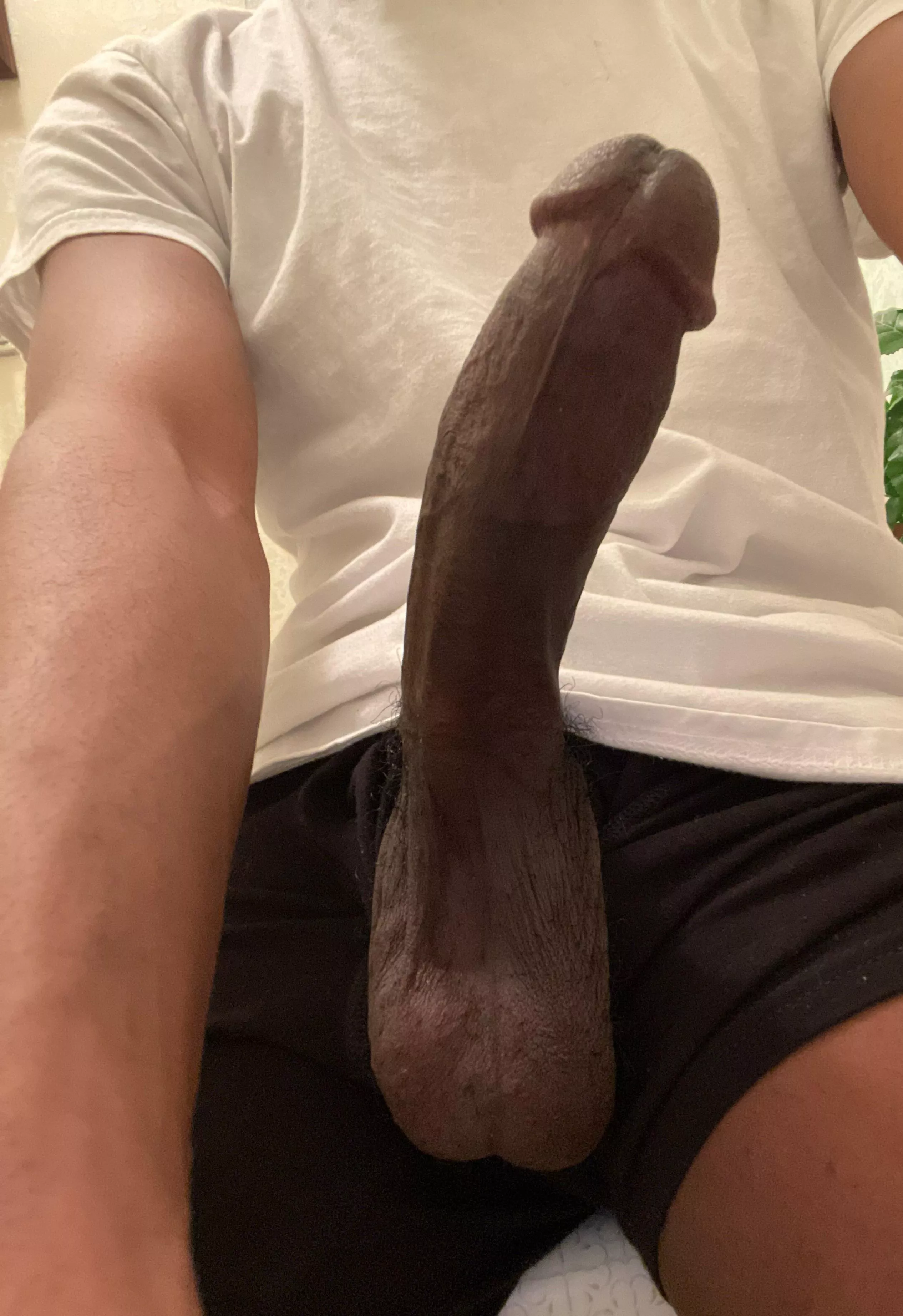 Get that nut out for me  posted by Extension-Lock7737