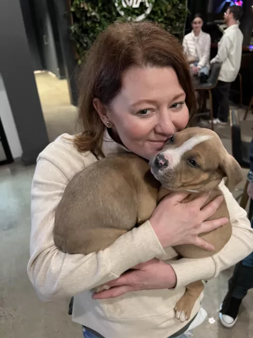 Ginger Heart (@gingerheart7) by jax9223