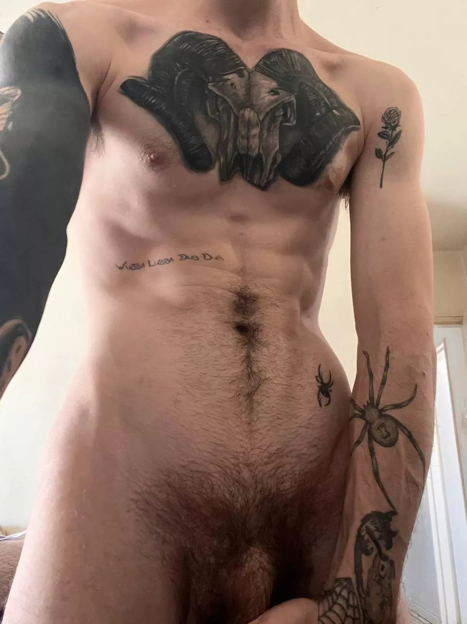 Happy trail posted by Acrobatic-Bake2084