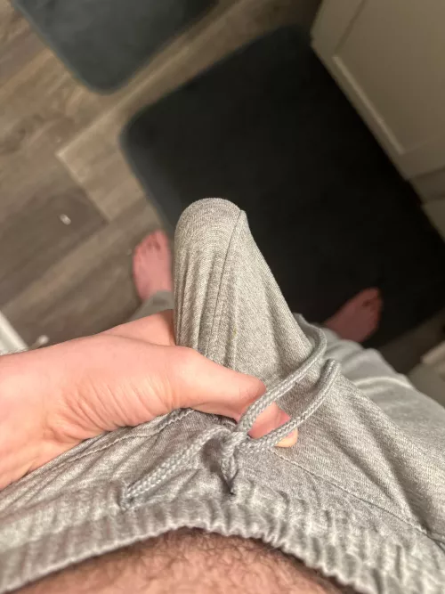 He’s begging to be let out by Significant_Board_88