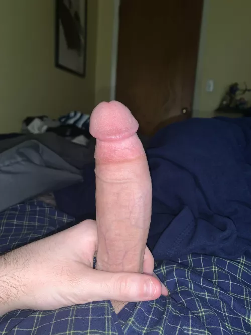 I hope it’s cute looking by Taylor787124