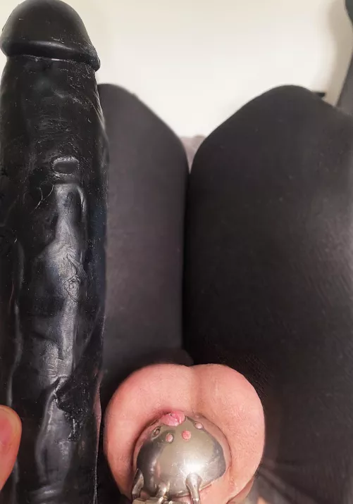 I Know My Place😅 by Street_Cook707