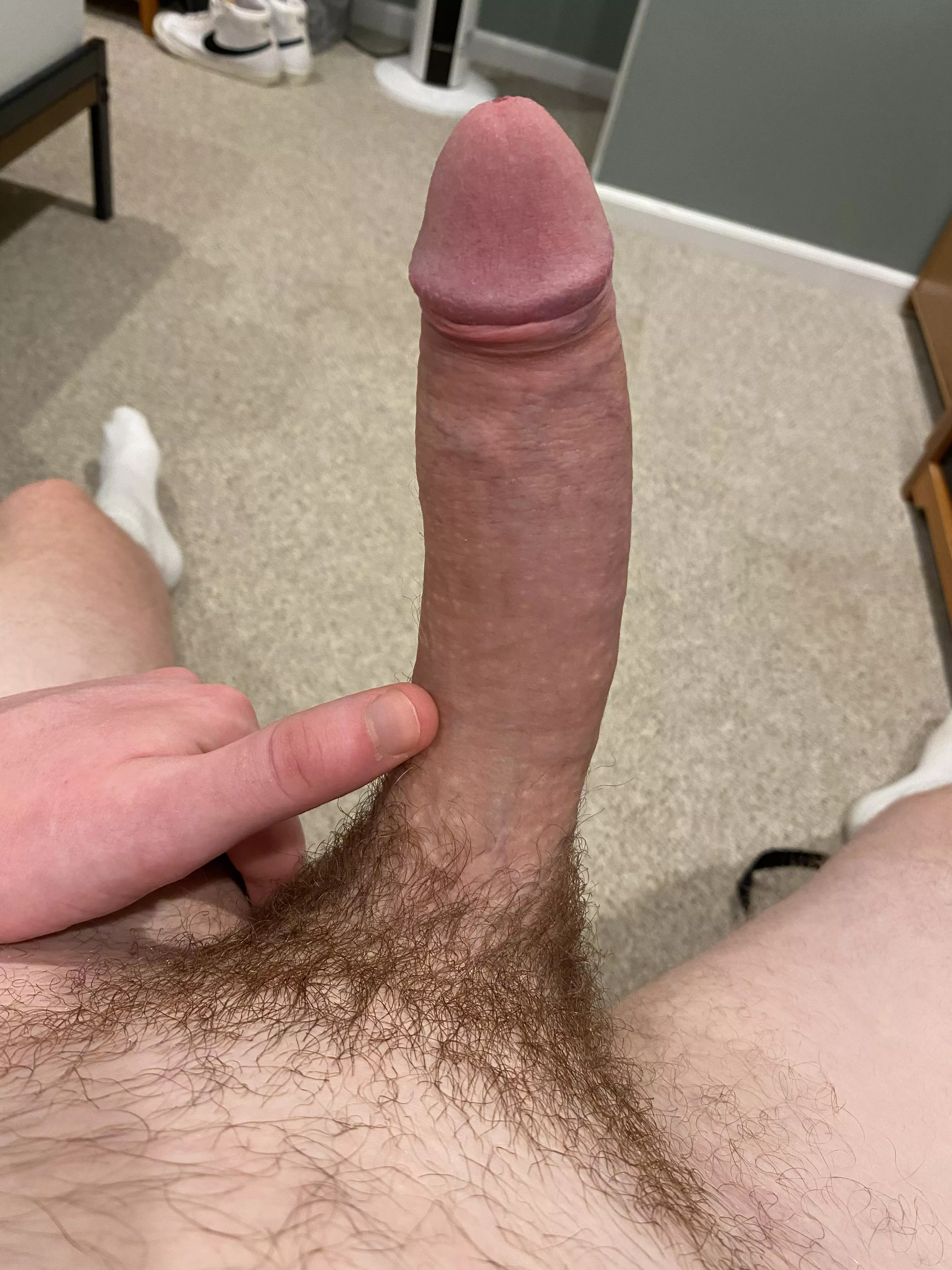 I love letting my pubes grow out posted by shy_and_hung