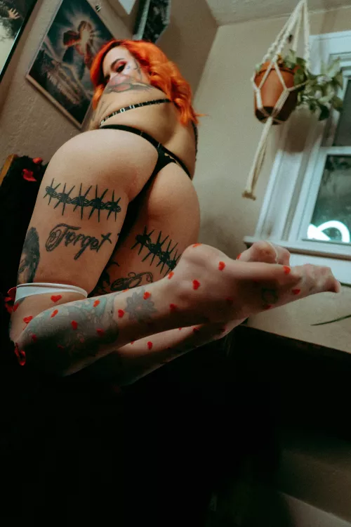 I’d rather be sitting on your face  by Late-Shame