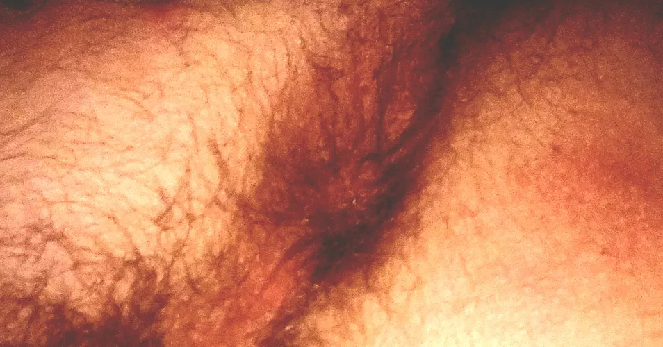 I'm sitting on your face before I fuck you.  by KinkTwinkOtterMix