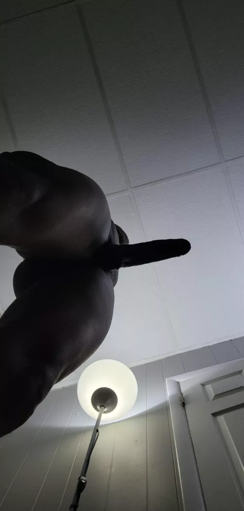 Just a different view and tease by capt_slim3