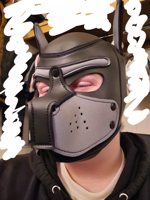 Just got my first hood! by SituationPrior3766