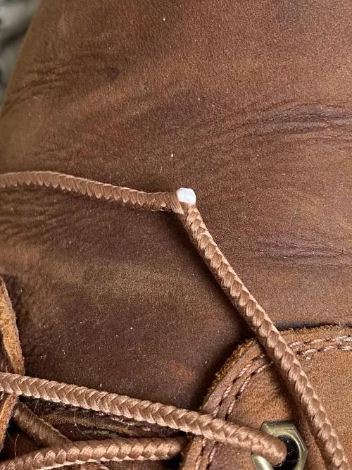 Lace insides suddenly popped out by praisethecosmos