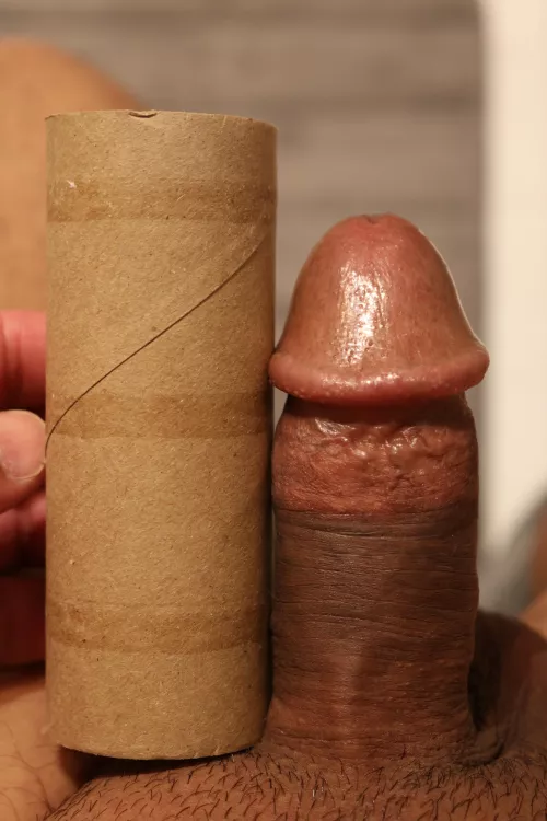 My Small Mexican Dick Failing the TP Roll Challenge by mysmallmexicandick