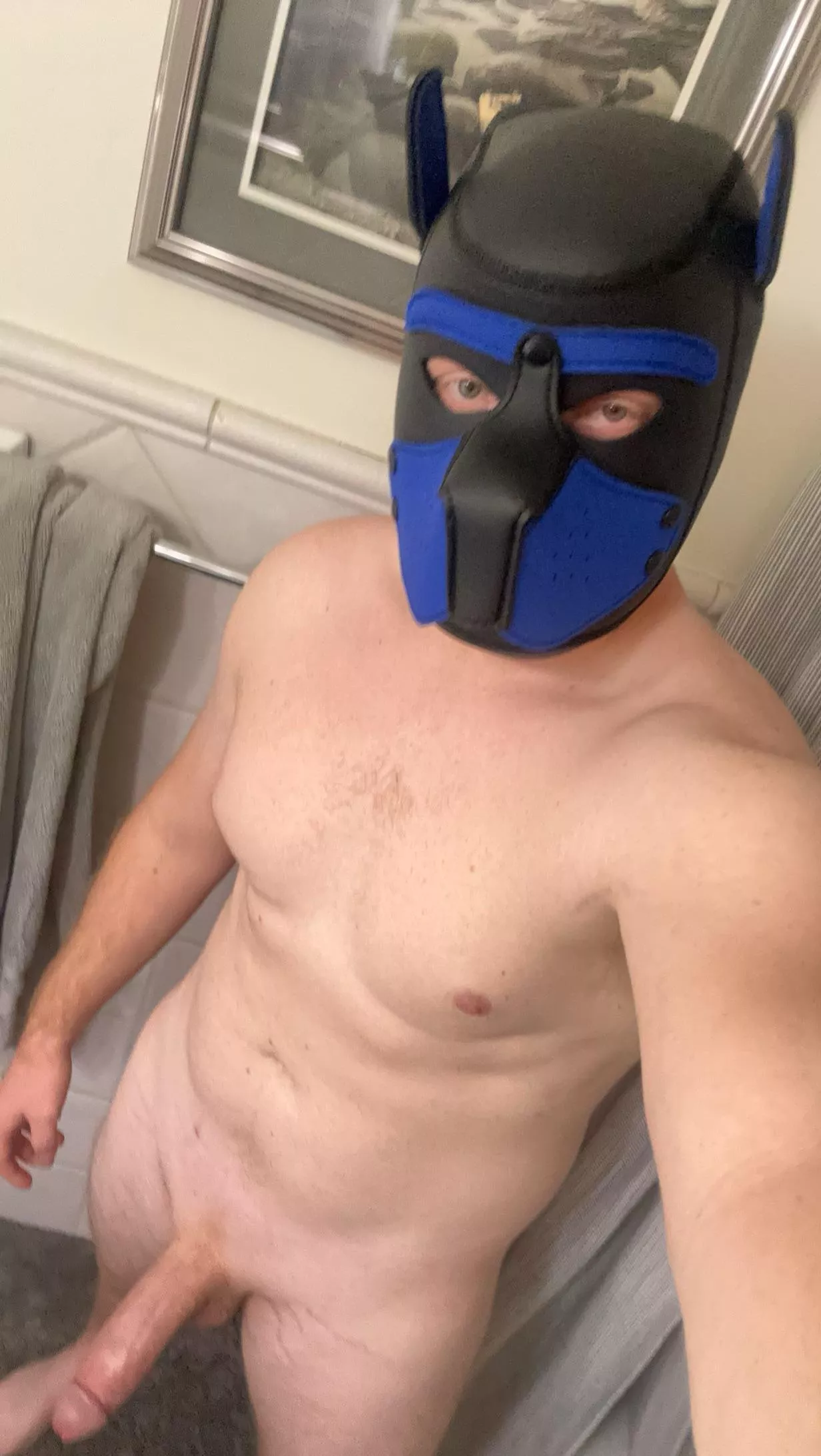 New pup in town :)  posted by Pup_Glacier