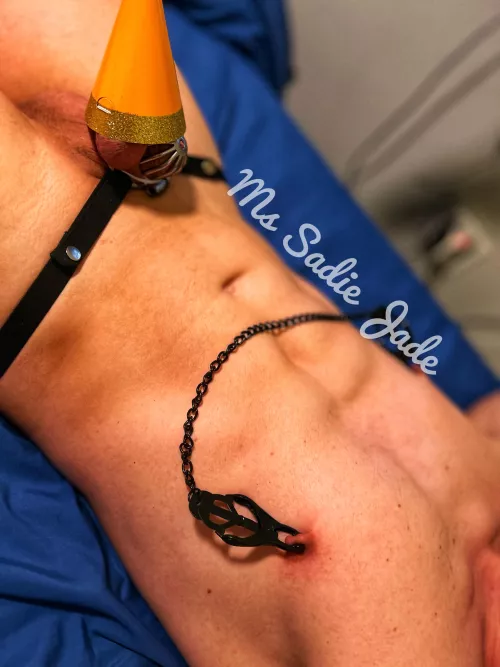 Party hat for my Toy’s birthday  by MsSadieJade