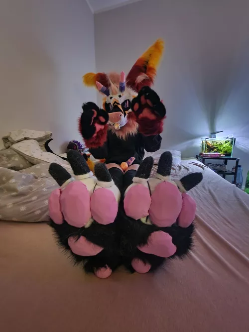 pawsssssssssssssssssssss by GaylordAfterdark