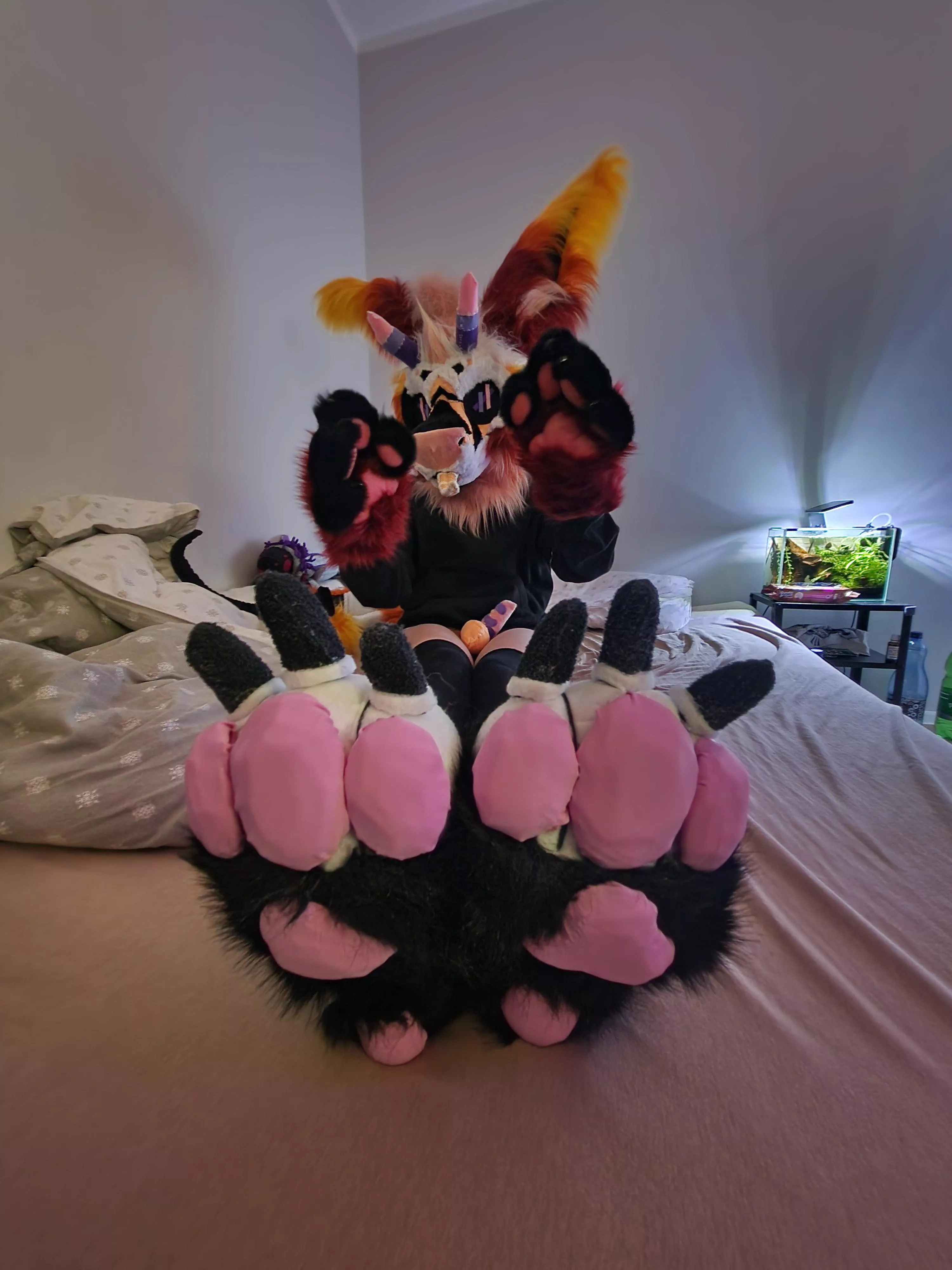 pawsssssssssssssssssssss posted by GaylordAfterdark