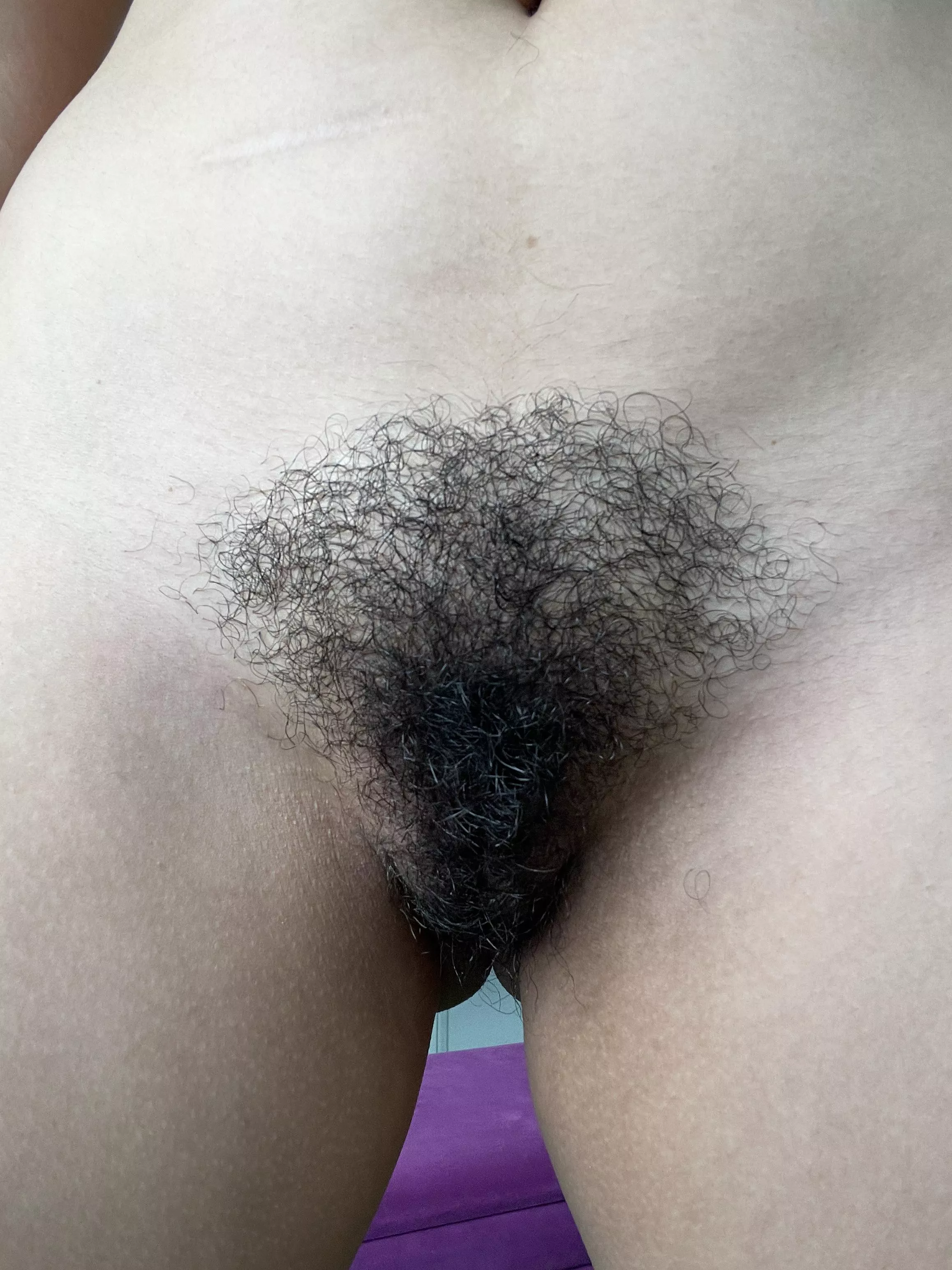 Put it in your face posted by Lane-703