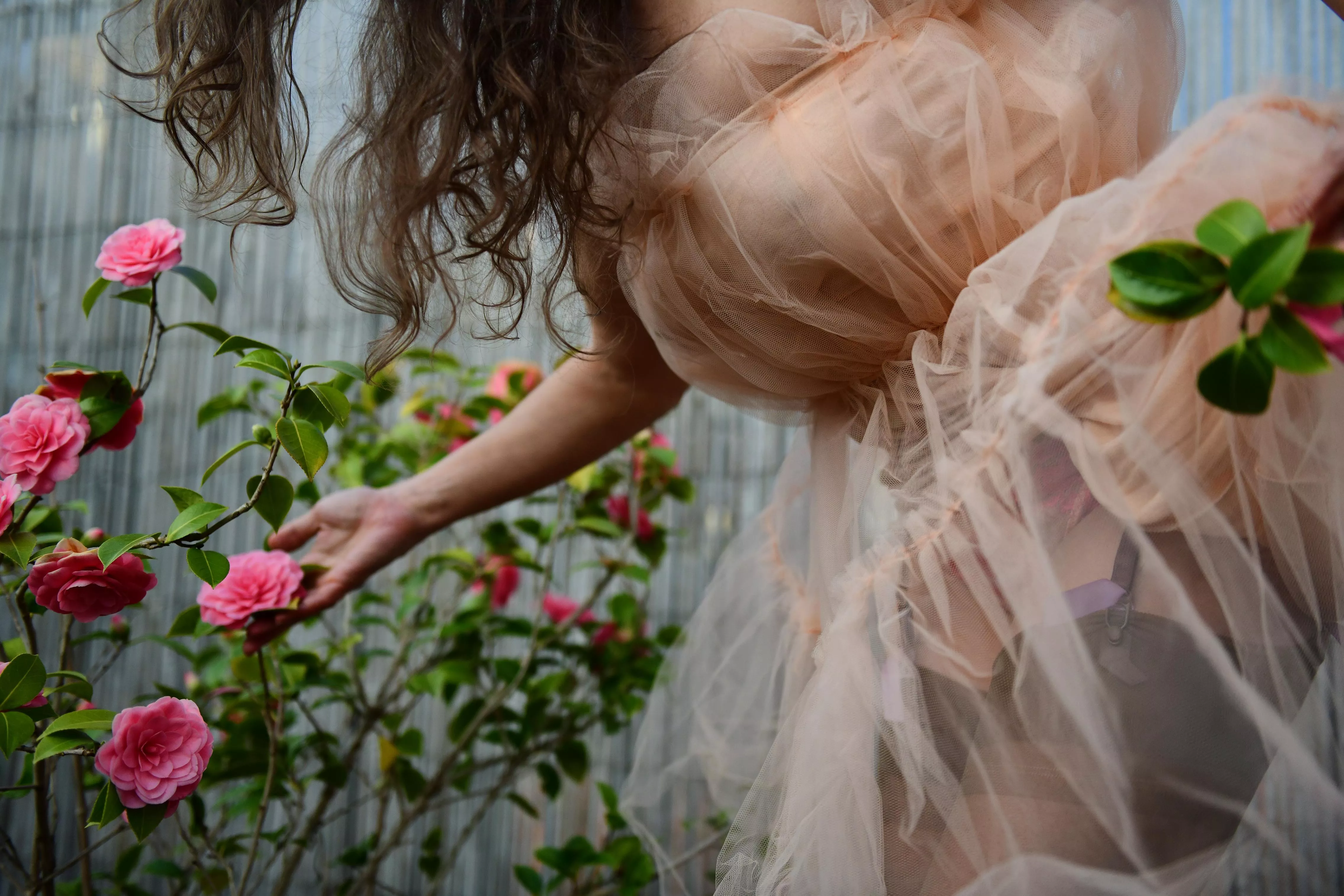 spring is in the air OC posted by MalinaWhispers