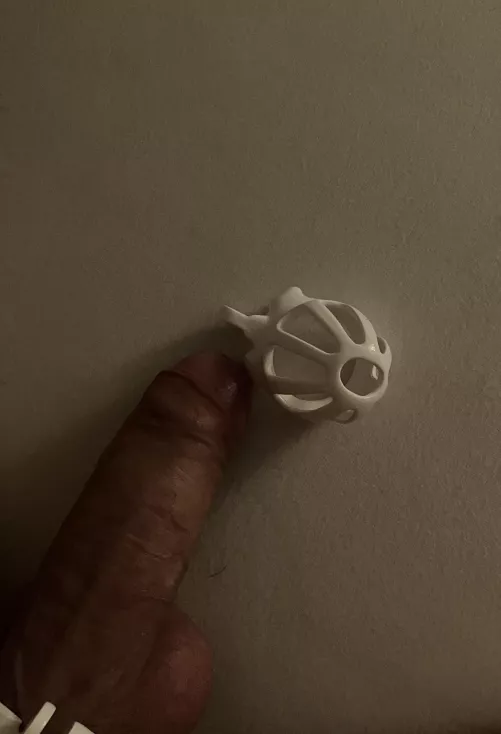 The moment before …. by Due-Needleworker9067