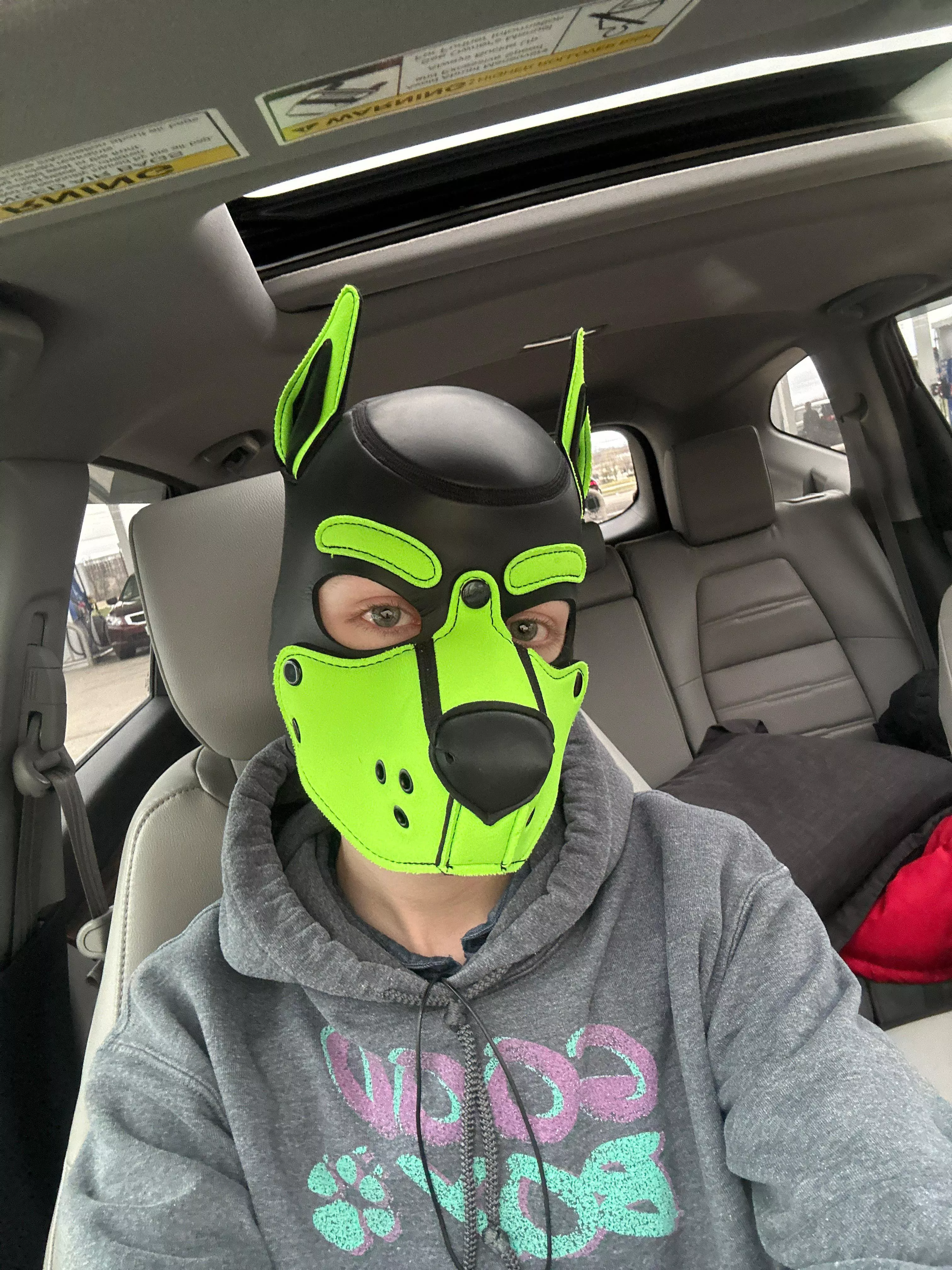 We goin’ for a ride? posted by Pup-Atlas