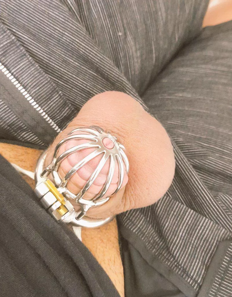 Went to a party last night with my cage on, no one noticed, but it was a thrill the entire time. posted by Throwayfastasyoucan