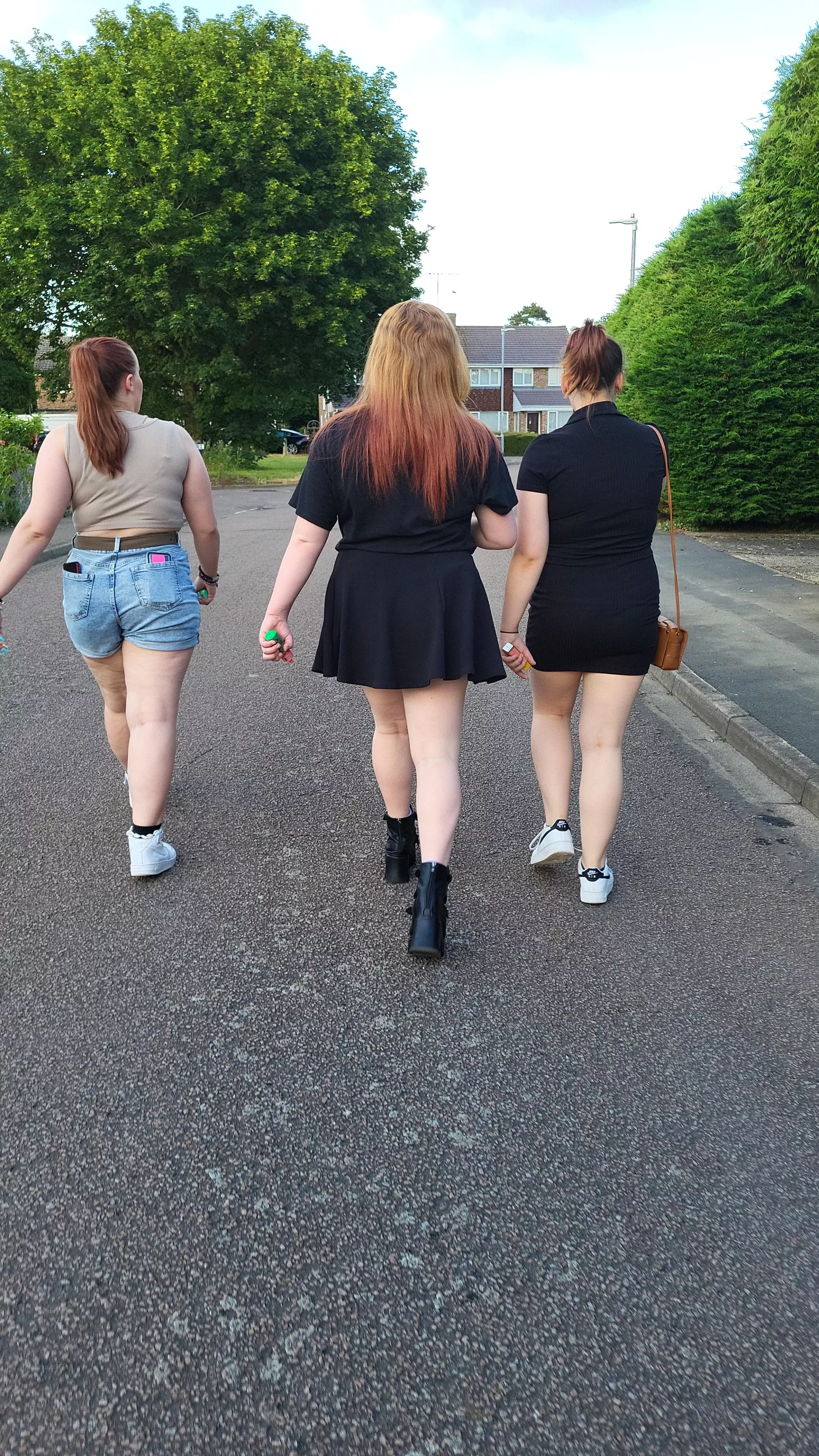 Who you picking [3] posted by Terrible-Standard-13