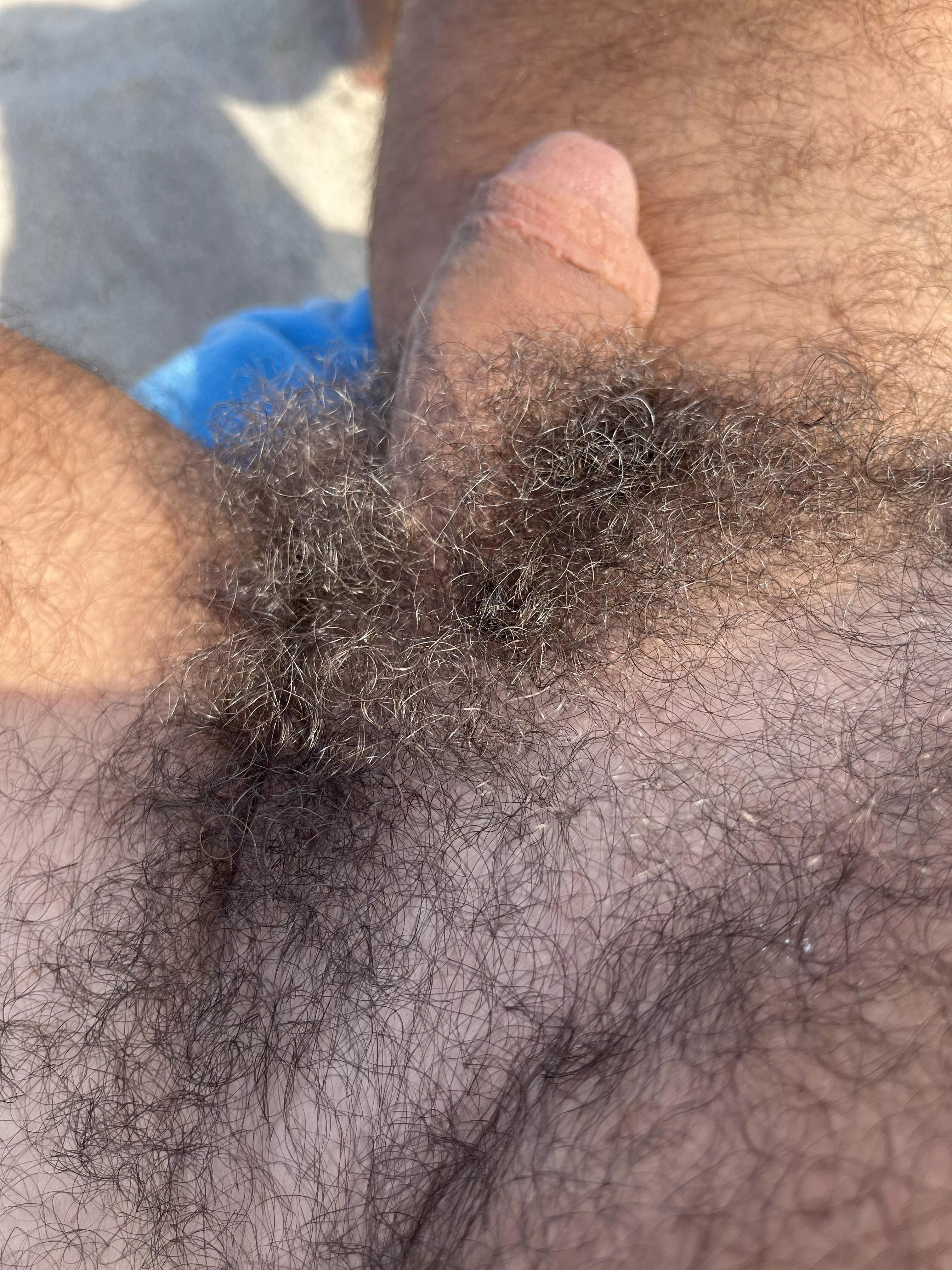 At Haulover nude beach today posted by fuzzylov