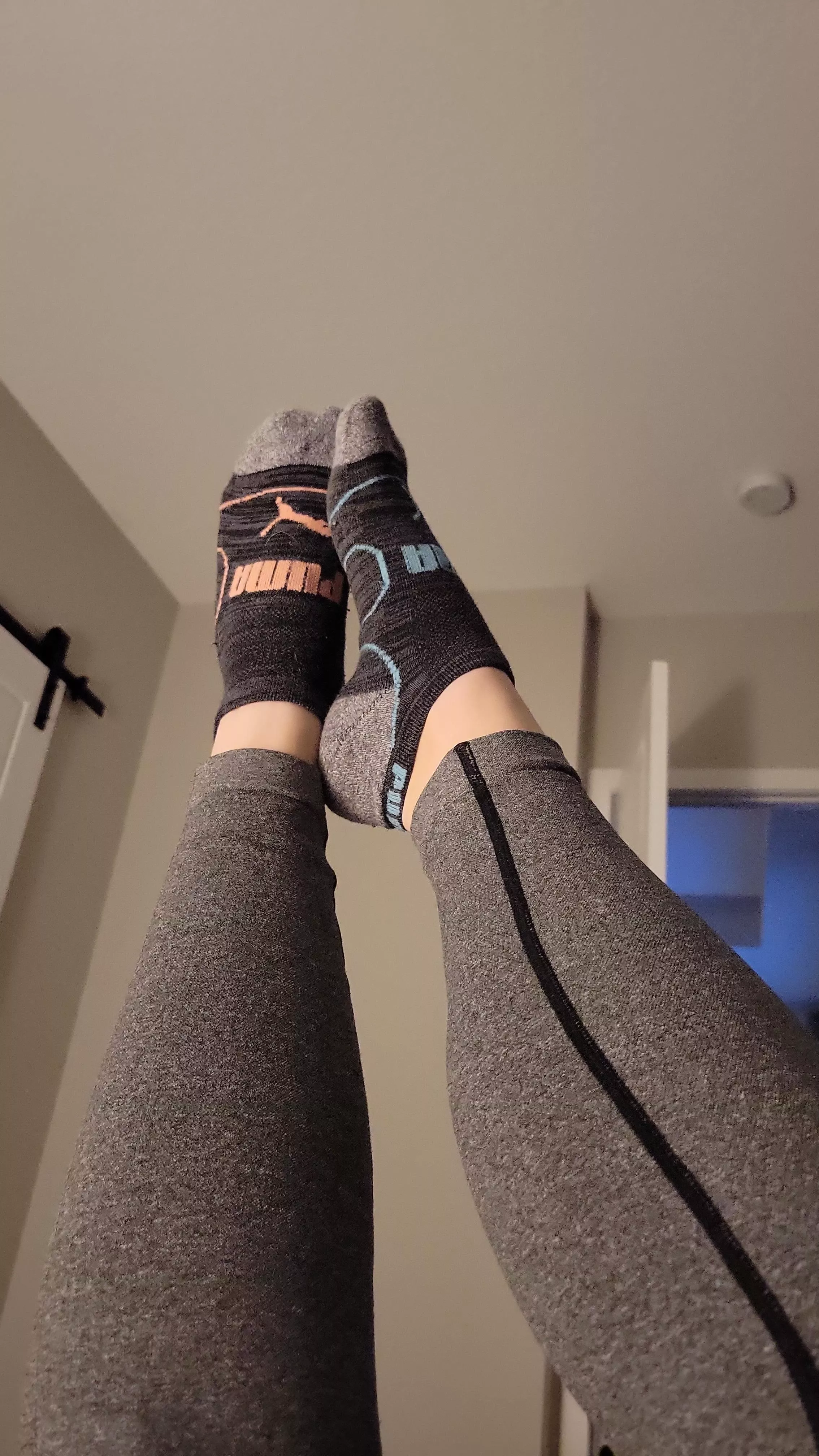 Birthday Socks  posted by Penny_Peachess