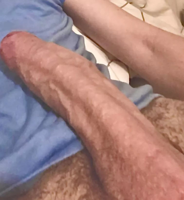 Can we cuddle… 🥺 posted by Prestigious_Pay9587