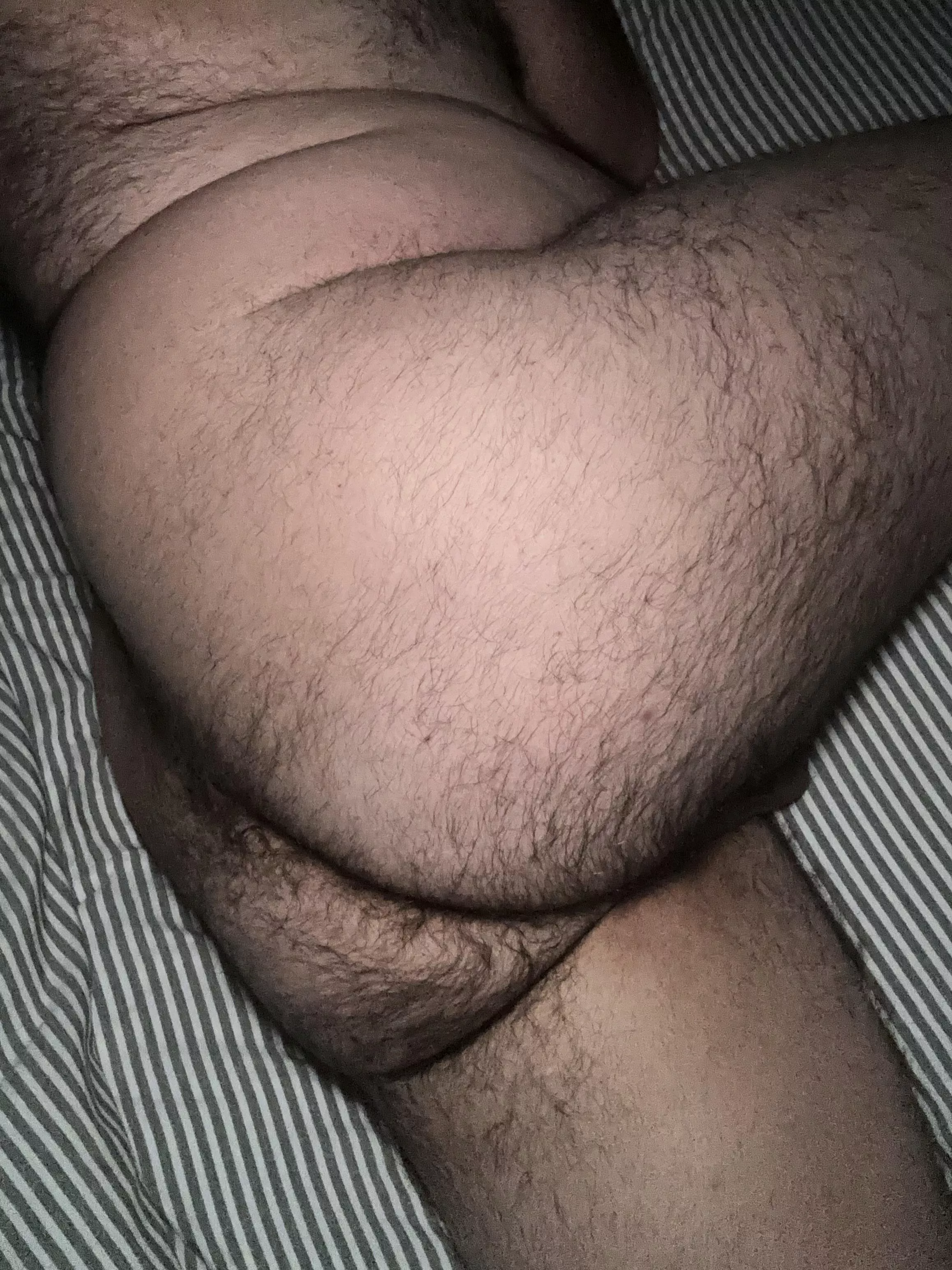 Fuck this fat hairy ass!!! posted by breedmyhairyfatass